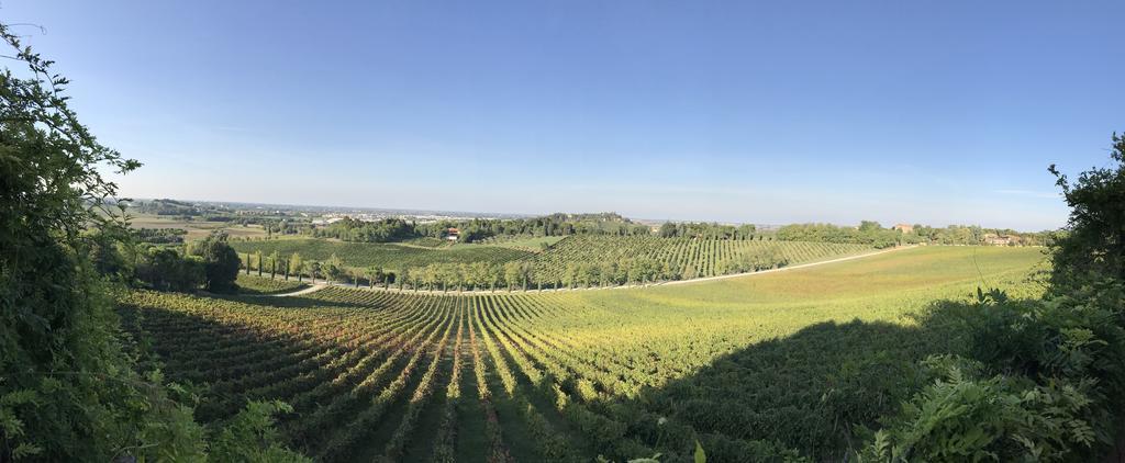 Fattoria Paradiso Bertinoro Kültér fotó
