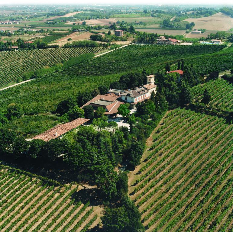 Fattoria Paradiso Bertinoro Kültér fotó